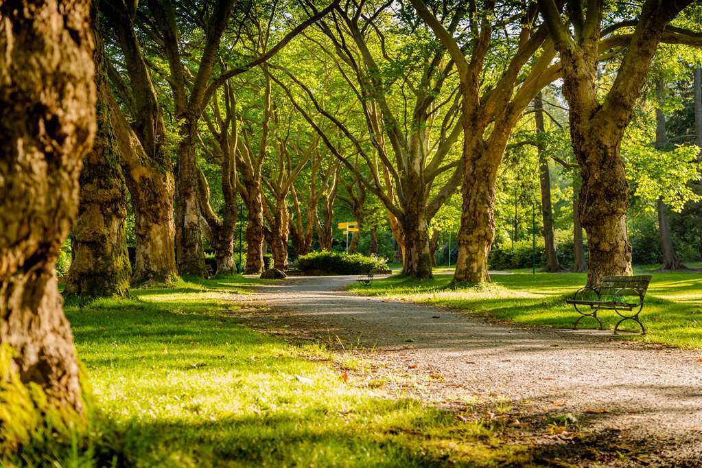 Chateau Du Bois-Guy Golf Parigné Dış mekan fotoğraf
